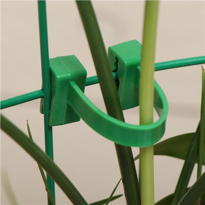 Подвязки для растений, 9 см, набор 10 шт., пластик