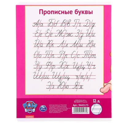 Тетрадь в косую линейку 12 листов, 5 видов МИКС, обложка мелованный картон, Щенячий патруль