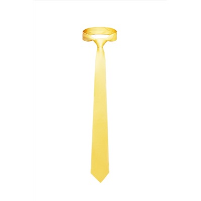 Набор из 2 аксессуаров: галстук платок "Мужской взгляд" SIGNATURE #949805