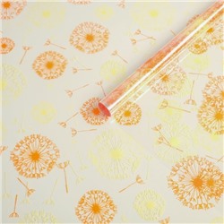 Пленка упаковочная прозрачная с рисунком для цветов и подарков в рулоне Одуванчики 70 см желтый нежный/оранжевый