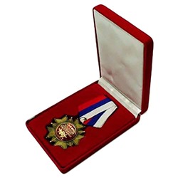 Орден в бархотной коробке Золотой выпускник 10*5см металл SH s532169