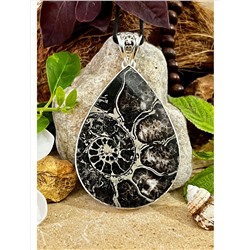 Серебряный кулон с Аммонитом, 39.59 г; Silver pendant with Ammonite, 39.59 g