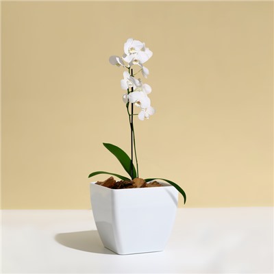 Горшок для цветов, 13 × 13 см, 1,5 л, пластик, белый