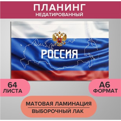 Планинг недатированный A6, 64 листа, на сшивке, обложка из картона, матовая ламинация, выборочный лак, Триколор