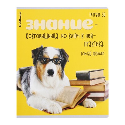 Тетрадь 36 листов в клетку, ErichKrause "Ученые собаки", обложка мелованный картон, блок офсет 100% белизна, МИКС, цена за 1 штуку