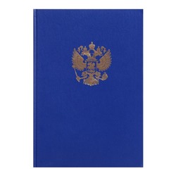 Книга учета, 96 листов, обложка бумвинил, блок ОФСЕТ, клетка, цвет синий, ГЕРБ (тиснение золотой фольгой)