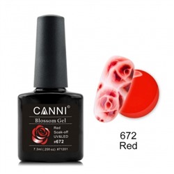 Canni Blossom Gel, для акварельной росписи № 672