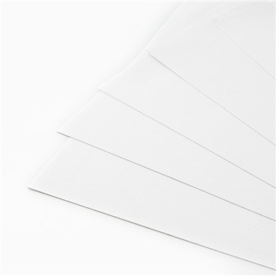 Картон белый немелованный односторонний А4 8 л 200г/м² в папке «1 сентября: Буки Бяки»