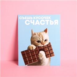 Открытка инстаграм «Шоколад», кот, 8,8 × 10,7 см