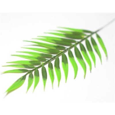 Искусственные цветы, Ветка - лист пальмы плоский малый (1010237) зеленый комбинированный