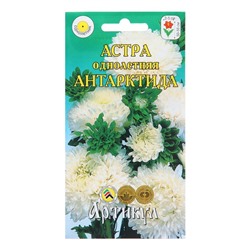 Семена цветов Астра однолетняя "Антарктида",  0,2 г