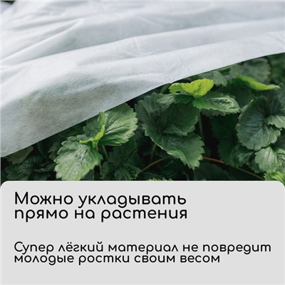 Материал укрывной, 5 × 3.2 м, плотность 20 г/м², спанбонд с УФ-стабилизатором, белый, Greengo, Эконом 30%