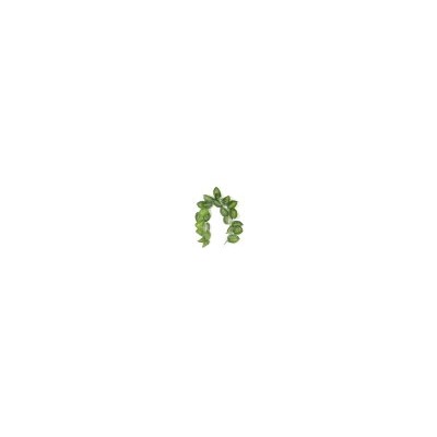 Искусственные цветы, Гирлянда лиана 1,5м 24 листа