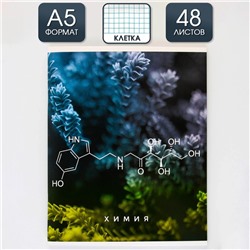 Тетрадь предметная 48 листов, А5, ПРИРОДА, со справочными материалами «1 сентября: Химия», обложка мелованный картон 230 гр., внутренний блок в клетку 80 гр., белизна до 80%, блок №2.
