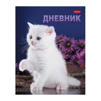 Дневник 1-11 класс (твердая обложка) "Я котик и у меня лапки" (078996) 28423 Хатбер {Россия}