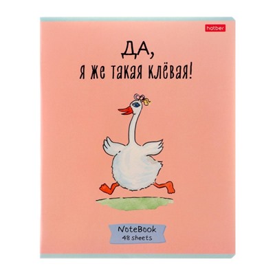 Тетрадь 48 листов в клетку "Гусь-веселюсь №1", обложка мелованный картон, скругленные углы, 5В, МИКС