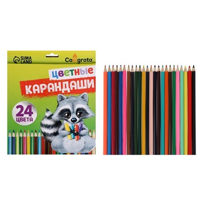 Карандаши 24 цвета, шестигранные, в картонной коробке