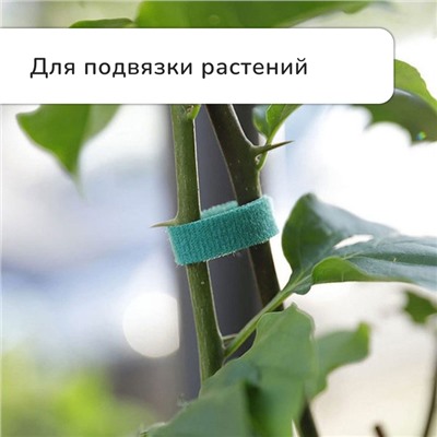 Лента «Липучка» для подвязки растений, 5 м, зелёная, Greengo