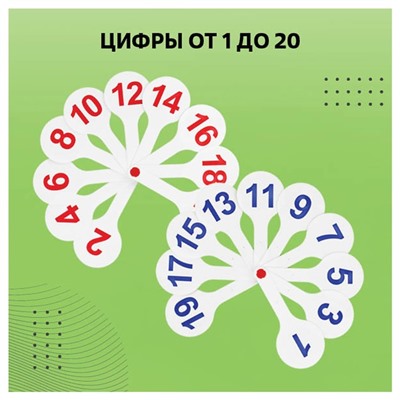 Набор веер-касс, гласные, согласные и цифры, Стамм, 3 штуки, пакет с европодвесом