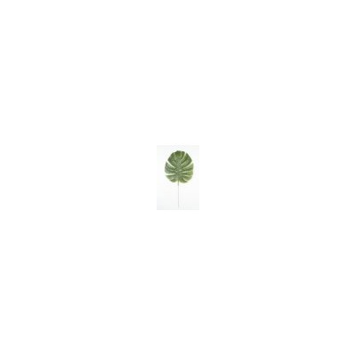 Искусственные цветы, Ветка лист монстера крупный (ш-31см) для венка (1010237) зеленый