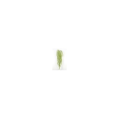 Искусственные цветы, Ветка зелени водоросль свисающая (1010237) без расцветки