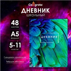 Дневник для 5-11 классов, "Перья", твердая обложка 7БЦ, глянцевая ламинация, 48 листов