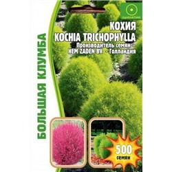Кохия (Kochia trichophylla) Большая клумба 500шт (Ред.сем)