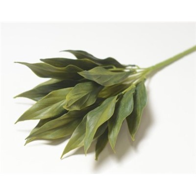 Искусственные цветы, Ветка в букете зелени лавра (1010237)