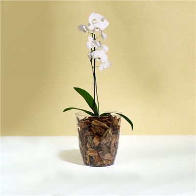 Горшок для орхидей, 2 л, 14,8 × 16,2 см, круглый, пластик, прозрачный