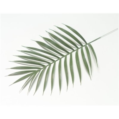 Искусственные цветы, Ветка - лист пальмы для венка (1010237) зеленый