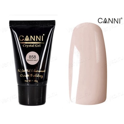 Полигель Canni Crystal №858, 45г