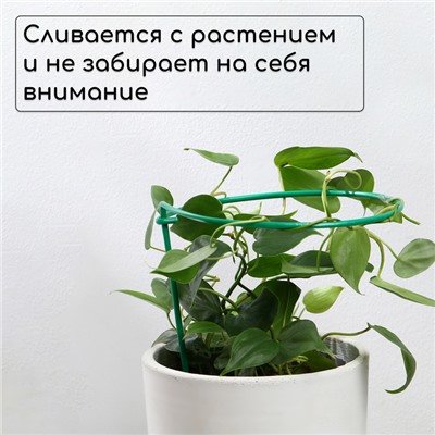 Кустодержатель для клубники, d = 20 см, h = 25 см, ножка d = 0.3 см, металл, зелёный, Greengo