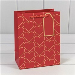 Подарочный пакет люкс бумажный с тиснением 18*23*10 см Сердца красный 447485