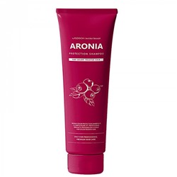 К-004839 Шампунь для волос АРОНИЯ Institute-beaut Aronia Color Protection Shampoo, 100 мл