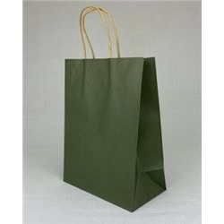 Подарочный крафт пакет с бумажной ручкой 21*27*11 см Темно-зеленый 12 шт/уп 530573