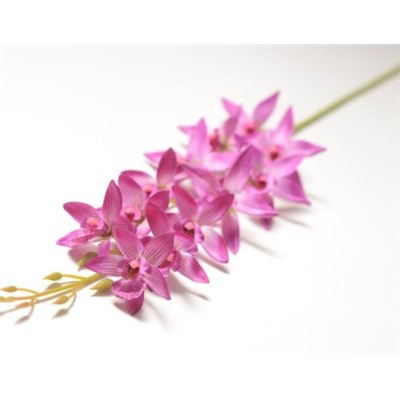 Искусственные цветы, Ветка орхидея 12 голов (1010237)