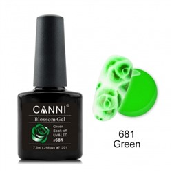 Canni Blossom Gel, для акварельной росписи № 681