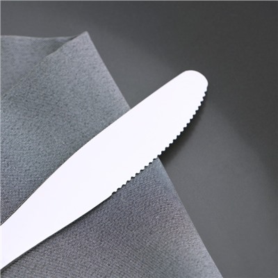 Нож столовый Доляна «Нордик», 20,2 см, толщина 2 мм, цвет серебряный