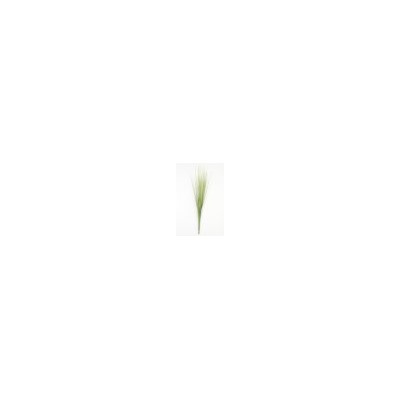 Искусственные цветы, Ветка кустовая осока малая (1010237) светло-зеленый