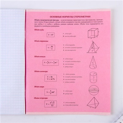 Тетрадь предметная 48 листов, А5, РОЗОВАЯ СЕРИЯ, со справ. мат. «1 сентября: Геометрия», обложка мелованный картон 230 гр., внутренний блок в клетку 80 гр., белизна 96%