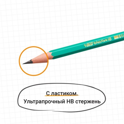 Карандаш чернографитный (простой) НВ, BIC Evolution, заточенный, пластиковый, c ластиком, шестигранный, зеленый корпус