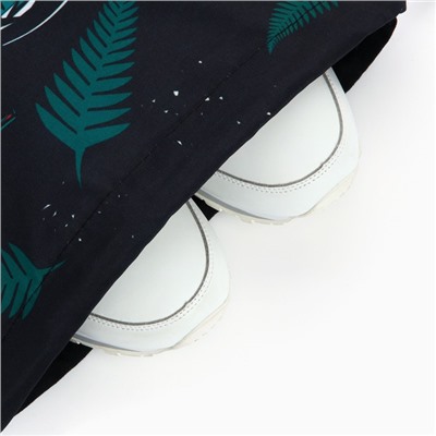Мешок для обуви «1 сентября: T-REX» текстиль, размер 30 х 40 см