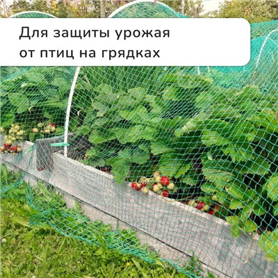 Сетка садовая, мягкая, 5 × 2 м, ячейка 15 × 15 мм, от птиц, Greengo