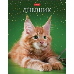 Дневник 1-11 класс (твердая обложка) "Рыжий котик" (078810) 28474 Хатбер {Россия}