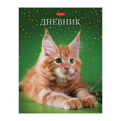 Дневник 1-11 класс (твердая обложка) "Рыжий котик" (078810) 28474 Хатбер {Россия}