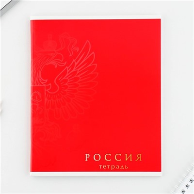 Тетрадь в клетку, 48 листов А5 на скрепке МИКС «1 сентября: Шрифтовые яркие», обложка мелованный картон 230 гр., внутренний блок №1, белизна 96%