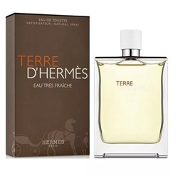 Hermes Terre D'Hermes Fraiche EDT 100ml (ЕВРО) (M)