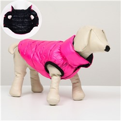 Куртка для собак двухсторонняя с воротником , ДС 24, ОШ 24, ОГ 40, розовая/тёмно-синяя