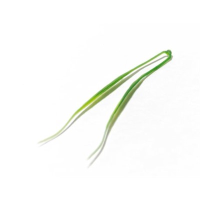 Искусственные цветы, Ветка - лист осока малая с литником для венка (1010237) зеленый