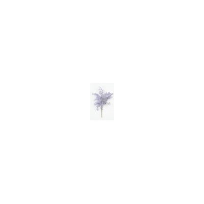 Искусственные цветы, Ветка в букете рябина 6 веток (1010237)